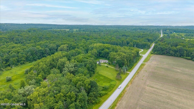 585 Logtown Rd, Glen, NY 12072 - bird's eye view of a forest