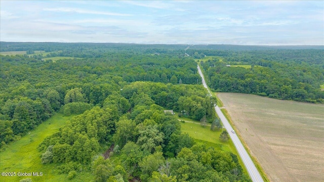585 Logtown Rd, Glen, NY 12072 - drone / aerial view of a heavily wooded area