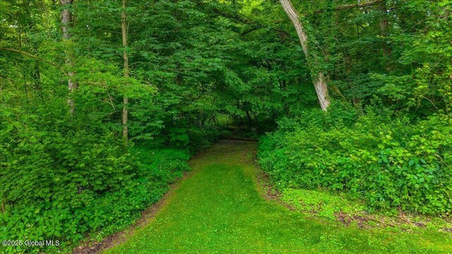 585 Logtown Rd, Glen, NY 12072 - view of local wilderness