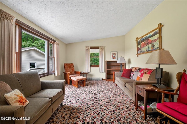 585 Logtown Rd, Glen, NY 12072 - living area featuring plenty of natural light, a baseboard radiator, vaulted ceiling, a textured ceiling, and carpet