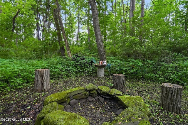 585 Logtown Rd, Glen, NY 12072 - view of yard