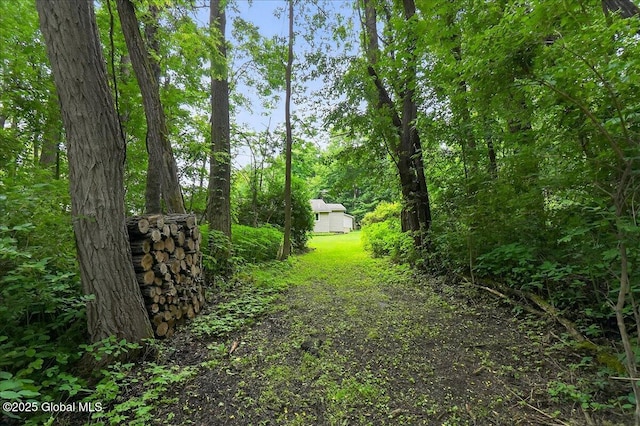 585 Logtown Rd, Glen, NY 12072 - view of yard