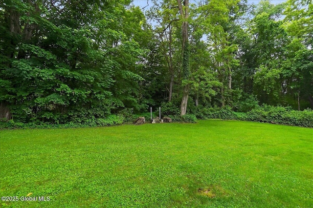 585 Logtown Rd, Glen, NY 12072 - view of green lawn