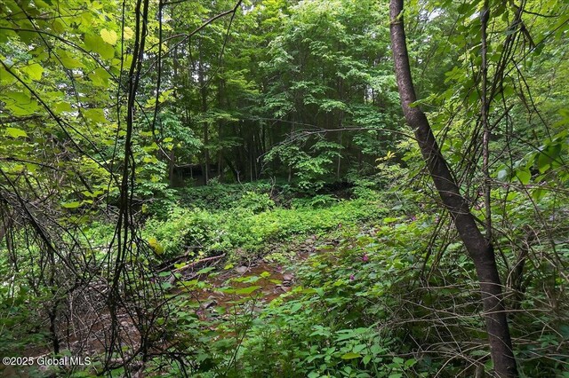 585 Logtown Rd, Glen, NY 12072 - view of tree filled area