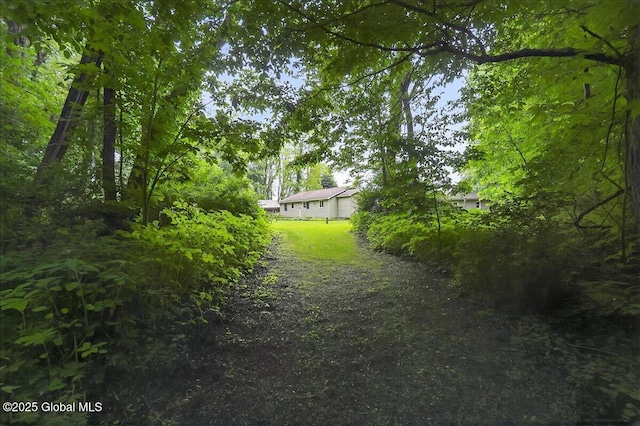 585 Logtown Rd, Glen, NY 12072 - view of yard