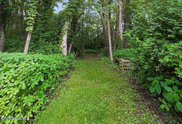 585 Logtown Rd, Glen, NY 12072 - view of yard