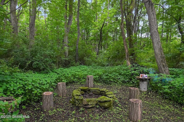 585 Logtown Rd, Glen, NY 12072 - view of yard with a forest view