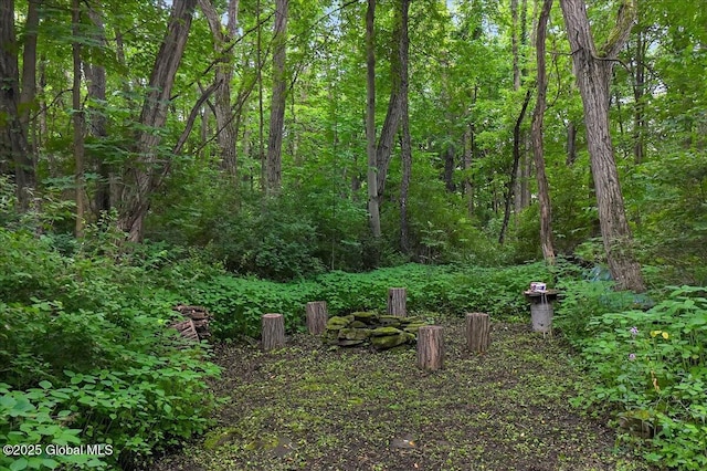 585 Logtown Rd, Glen, NY 12072 - view of wooded area