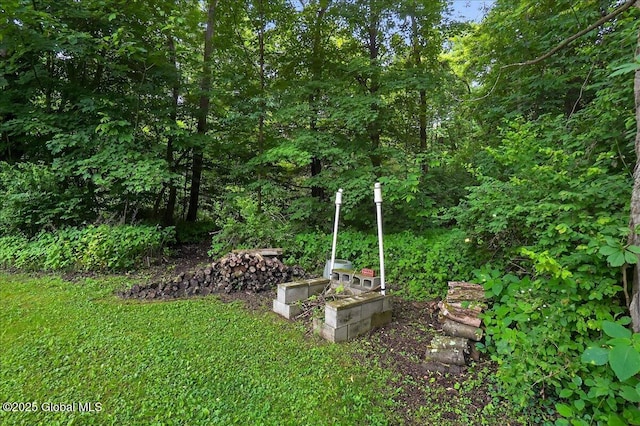 585 Logtown Rd, Glen, NY 12072 - view of green lawn