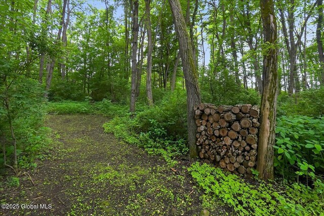 585 Logtown Rd, Glen, NY 12072 - view of nature