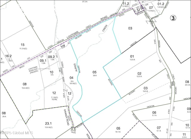 585 Logtown Rd, Glen, NY 12072 - map showing property parcels