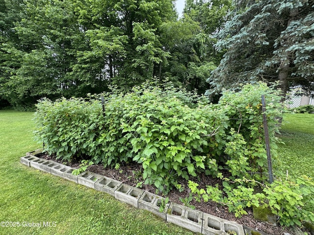585 Logtown Rd, Glen, NY 12072 - view of grassy yard