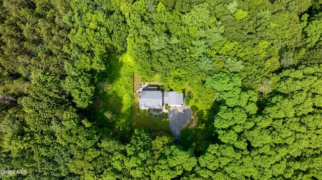 2017 Rowley Rd, Malta, NY 12020 - photo 50