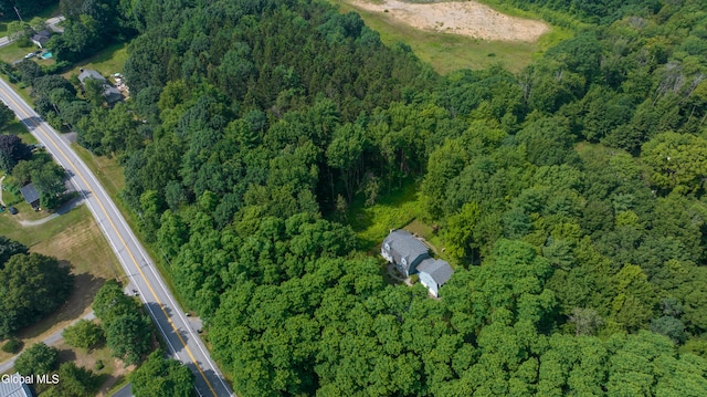 2017 Rowley Rd, Malta, NY 12020 - photo 52
