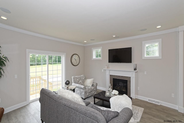 1E Brison St, North Greenbush, NY 12180 - living area with crown molding, a fireplace, wood finished floors, and recessed lighting