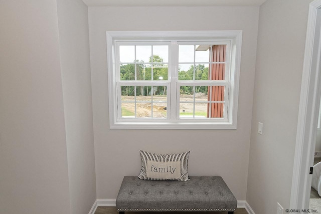 1E Brison St, North Greenbush, NY 12180 - sitting room featuring baseboards