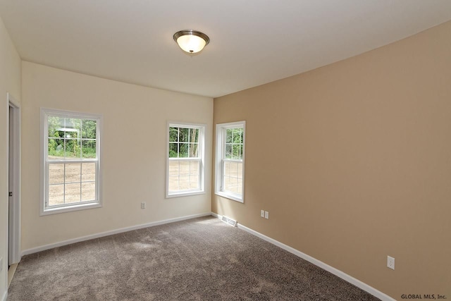1E Brison St, North Greenbush, NY 12180 - spare room with healthy amount of natural light and carpet flooring