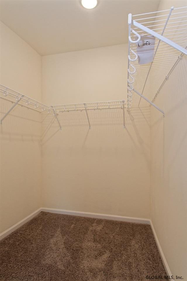 1E Brison St, North Greenbush, NY 12180 - spacious closet featuring carpet flooring