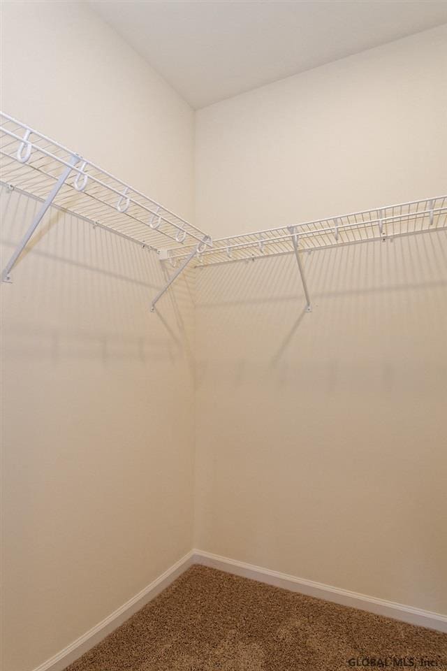 1E Brison St, North Greenbush, NY 12180 - walk in closet featuring carpet flooring