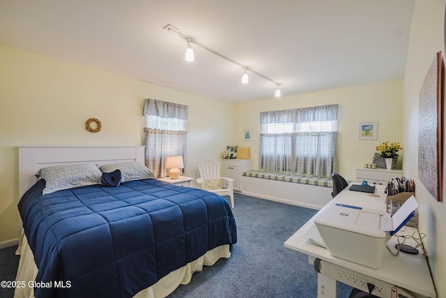 34 Aspen Rd, Colonie, NY 12110 - bedroom with track lighting, dark colored carpet, and multiple windows