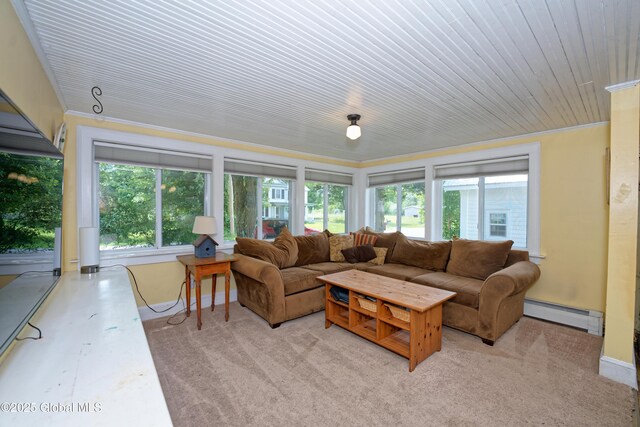 19 Clum Rd, Pittstown, NY 12094 - photo 17