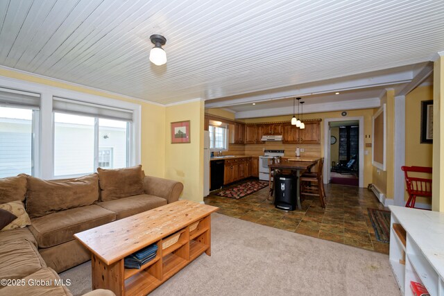 19 Clum Rd, Pittstown, NY 12094 - photo 18
