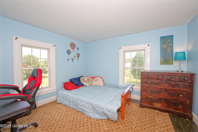 19 Clum Rd, Pittstown, NY 12094 - photo 29