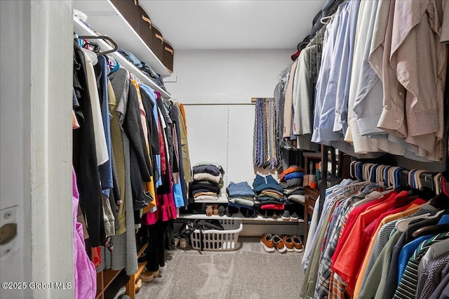 5 Pine Crst, Malta, NY 12019 - spacious closet featuring carpet flooring