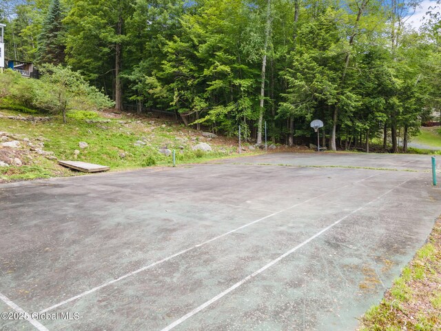 307 S Long Pond Rd, Grafton, NY 12052 - photo 30