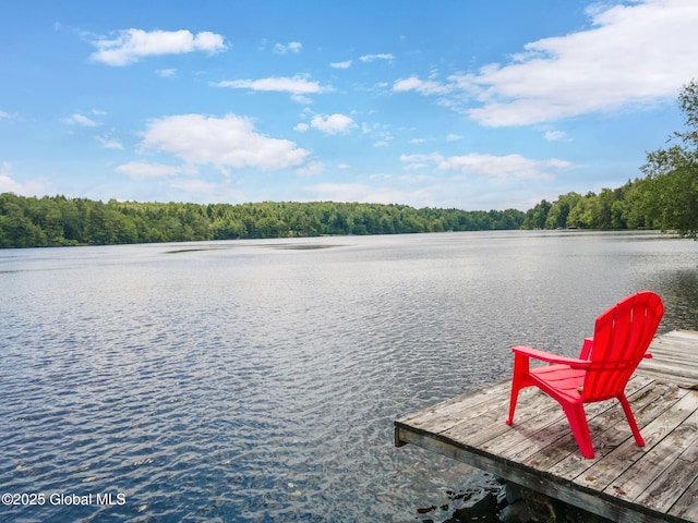 307 S Long Pond Rd, Grafton, NY 12052 - photo 32