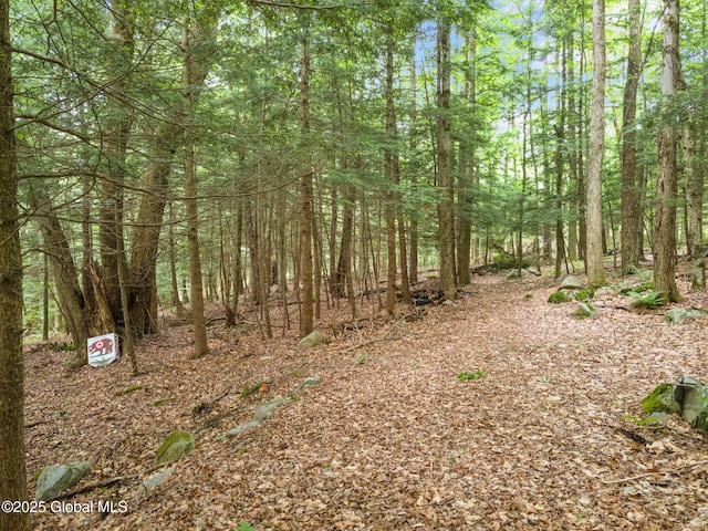 307 S Long Pond Rd, Grafton, NY 12052 - photo 28