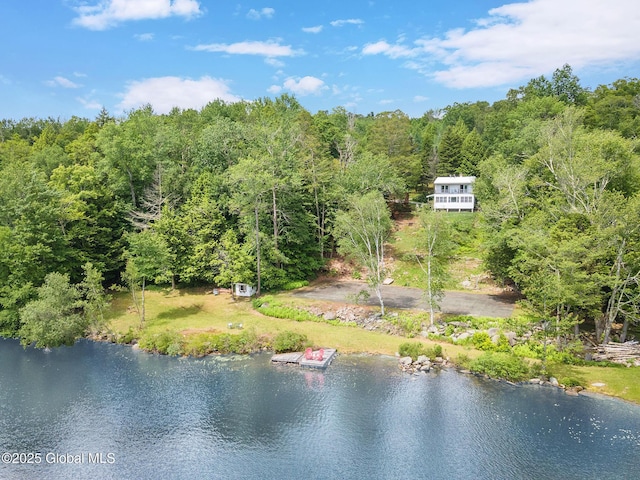 307 S Long Pond Rd, Grafton, NY 12052 - photo 1