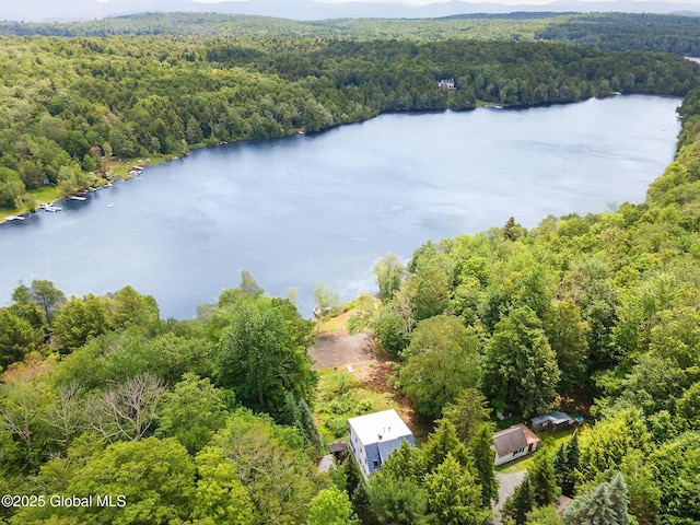 307 S Long Pond Rd, Grafton, NY 12052 - photo 33
