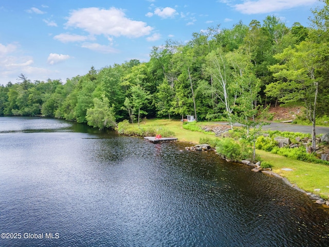 307 S Long Pond Rd, Grafton, NY 12052 - photo 31