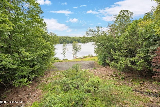 307 S Long Pond Rd, Grafton, NY 12052 - photo 29