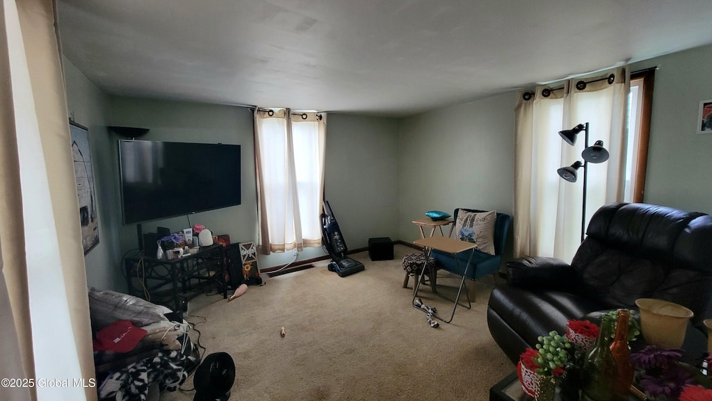 52 Hancock St, Fort Plain, NY 13339 - view of carpeted living room