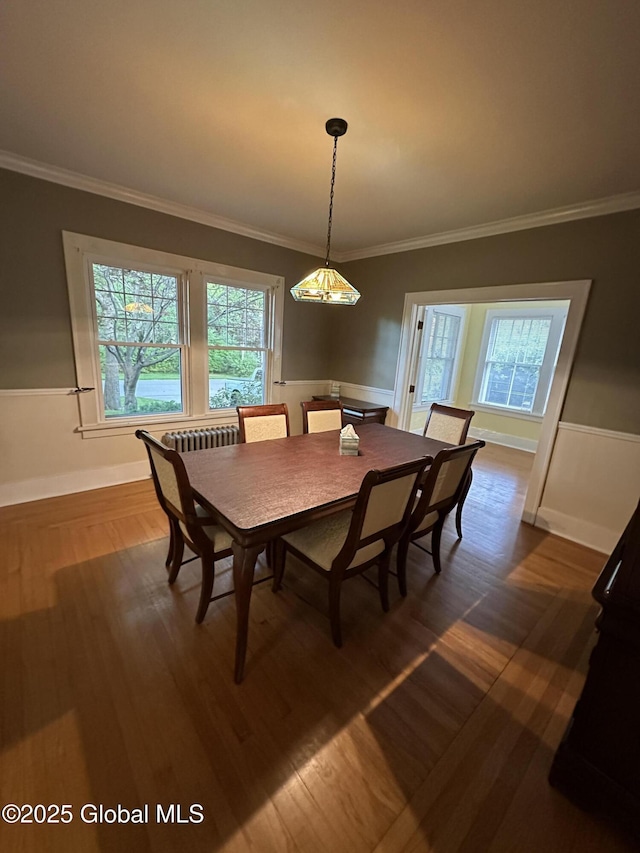 945 Morgan Ave, Niskayuna, NY 12309 - dining room with ornamental molding, dark wood-style floors, and radiator heating unit