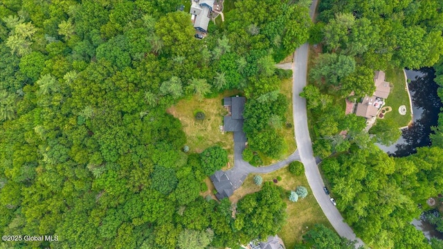 6 Leaward Way, Saratoga Springs, NY 12866 - aerial overview of property's location