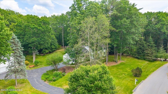 6 Leaward Way, Saratoga Springs, NY 12866 - view of property's community featuring a lawn