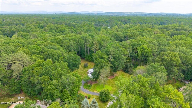 6 Leaward Way, Saratoga Springs, NY 12866 - bird's eye view of a heavily wooded area