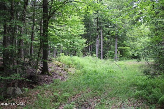 L30.1 Pucker St, Warrensburg, NY 12885
