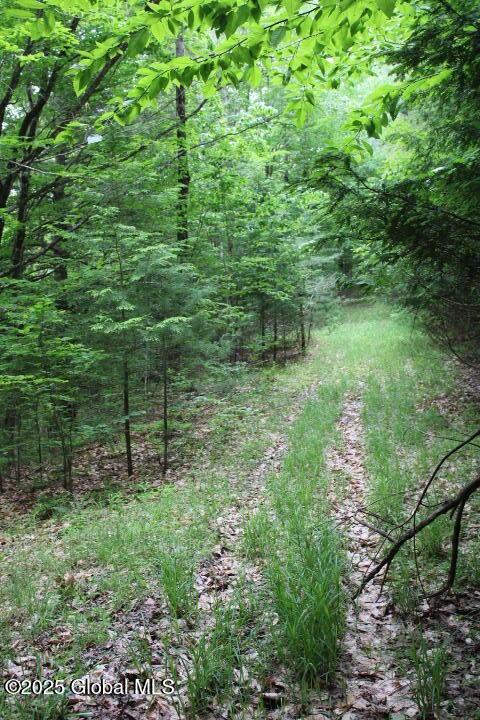 L30.1 Pucker St, Warrensburg, NY 12885