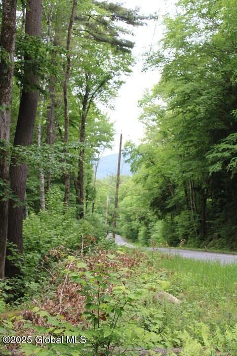 L30.1 Pucker St, Warrensburg, NY 12885