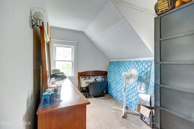 236 Clizbe Ave, Amsterdam, NY 12010 - bedroom featuring lofted ceiling and carpet floors