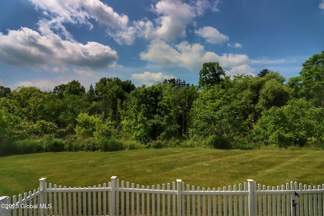 4 Krug Pl, Cohoes, NY 12047 - photo 41