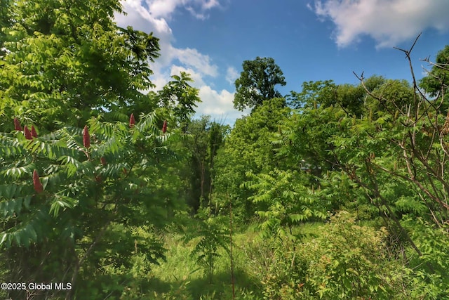 4 Krug Pl, Cohoes, NY 12047 - photo 49
