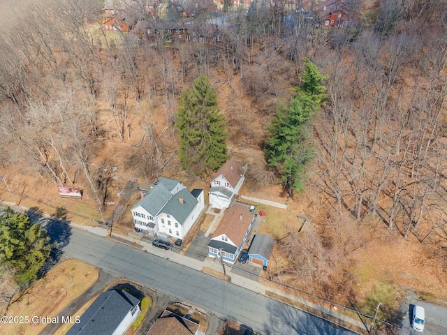 55 Spring Ave, Troy, NY 12180 - bird's eye view