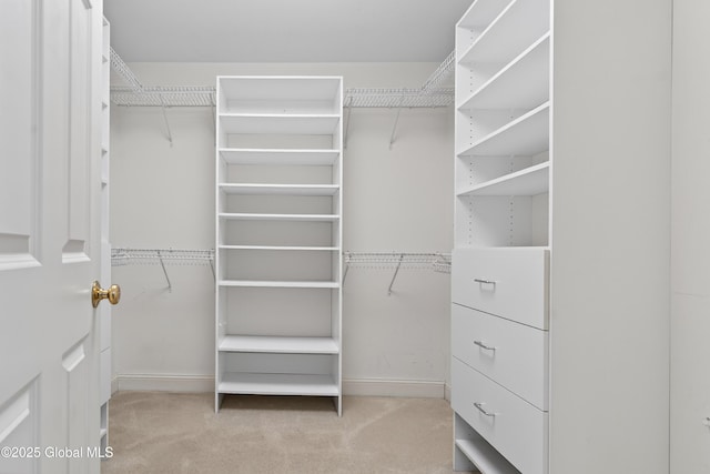 10 Sweetbriar Dr, Wilton, NY 12831 - spacious closet featuring carpet