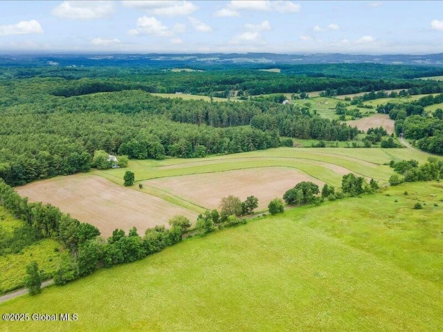 107 Hosey Russell Rd, Pittstown, NY 12028 - photo 1