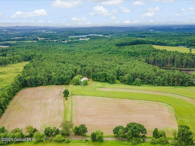 107 Hosey Russell Rd, Pittstown, NY 12028 - photo 35